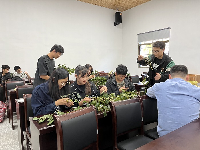 植物实习 植物实习