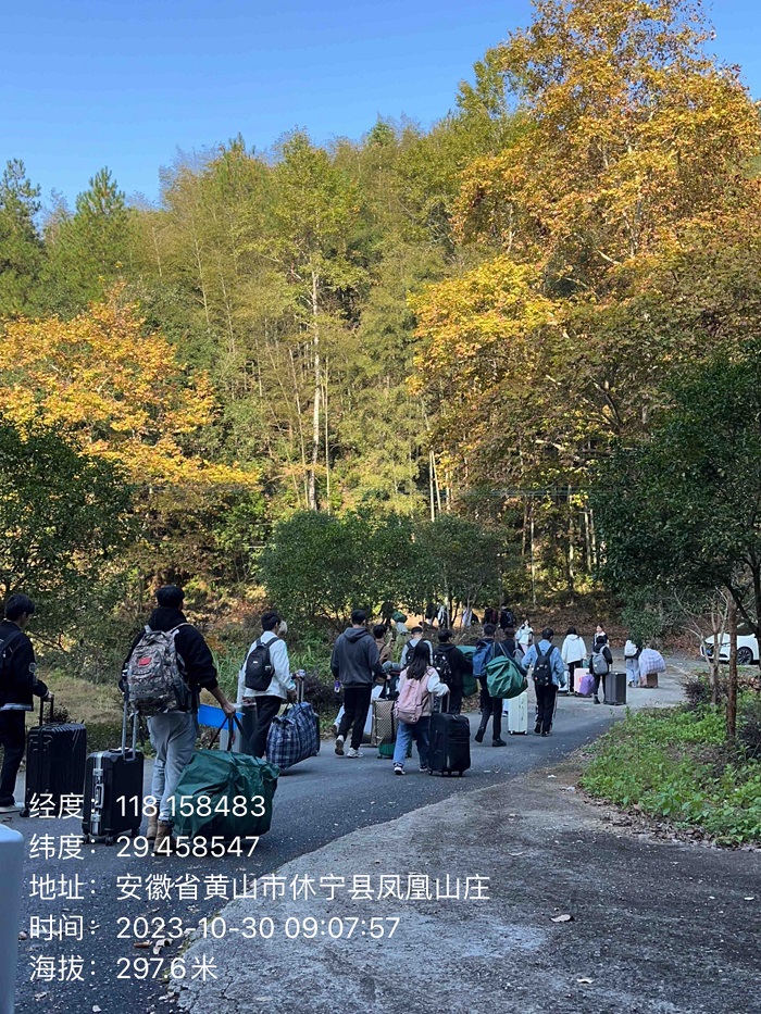 奔赴林场 奔赴林场